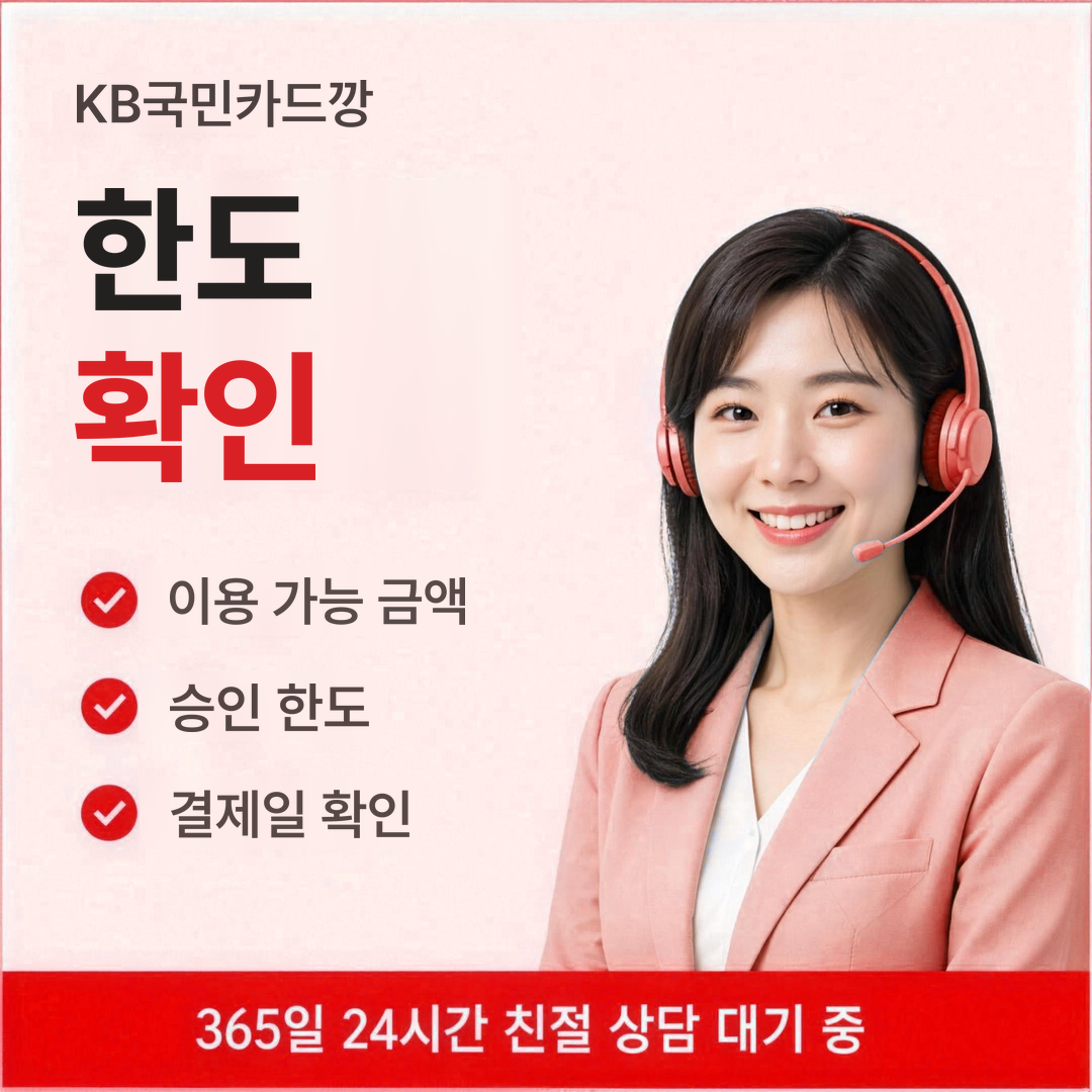 다음머니 KB국민카드깡 한도 확인 방법 안내