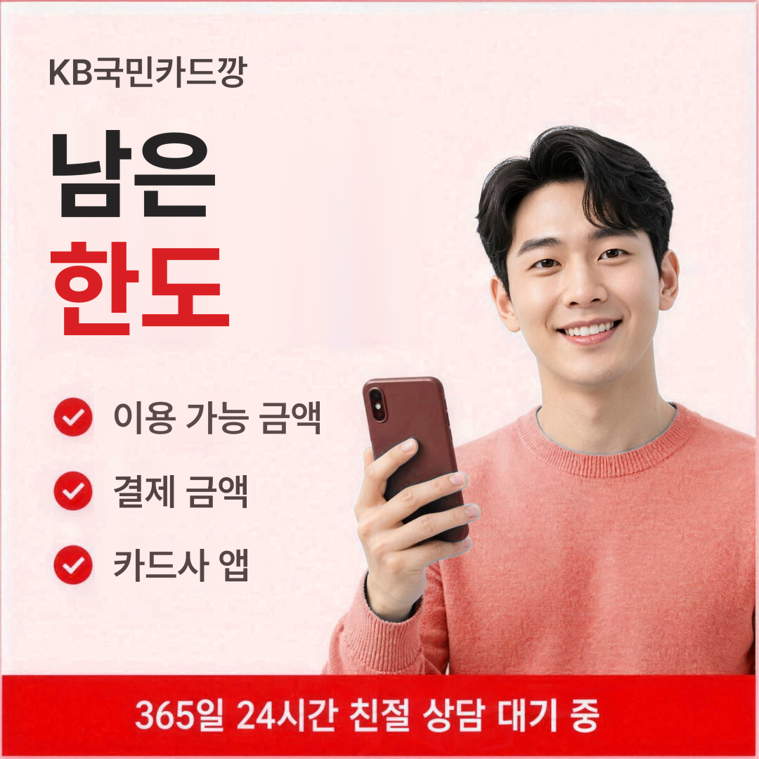다음머니 KB국민카드깡 남은 한도 안내